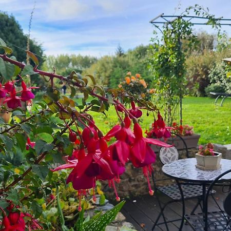 Lesroses1680 Bed and Breakfast Blainville-sur-Mer Eksteriør billede